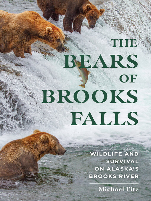 Title details for The Bears of Brooks Falls by Michael Fitz - Available